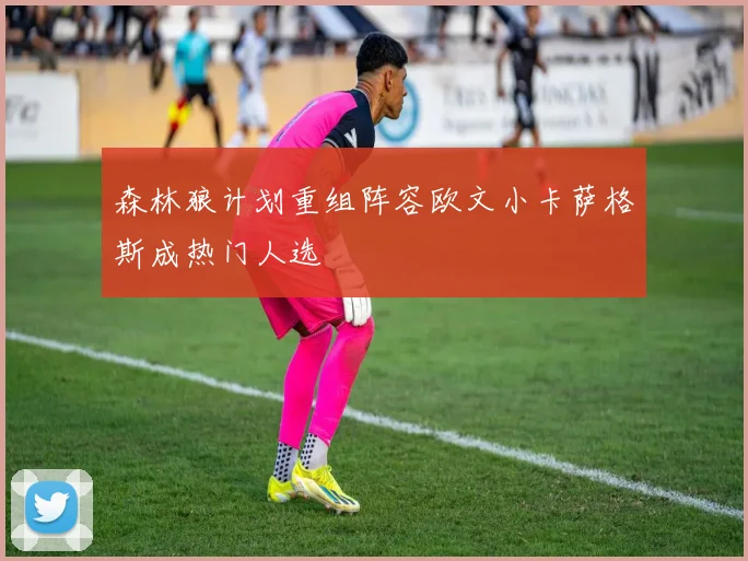 森林狼计划重组阵容欧文小卡萨格斯成热门人选