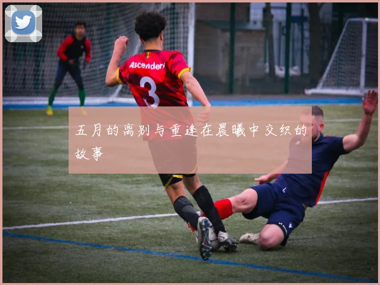五月的离别与重逢在晨曦中交织的故事